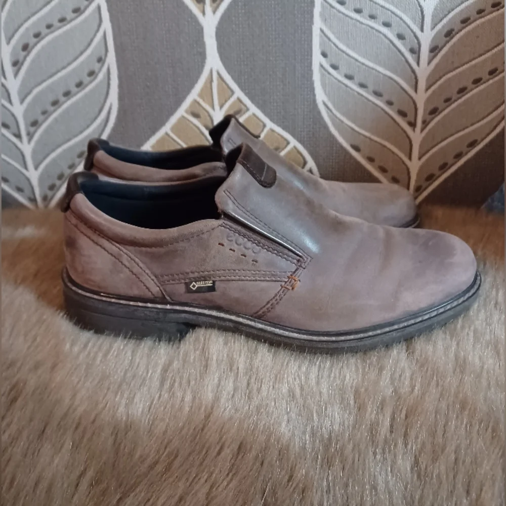 Ecco good lighty